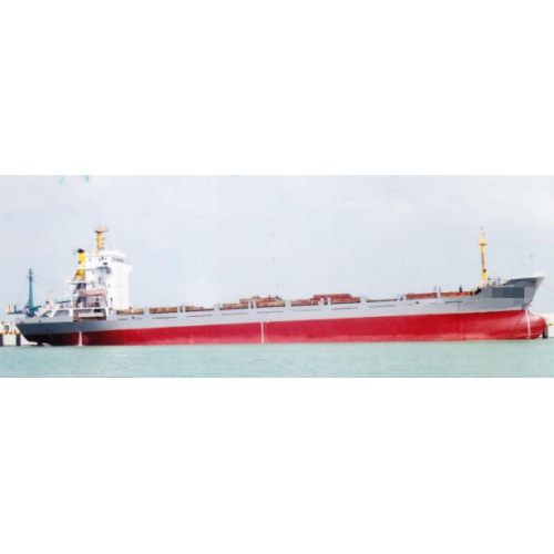 出售2009年造5000吨290个柜近海双底多用途船