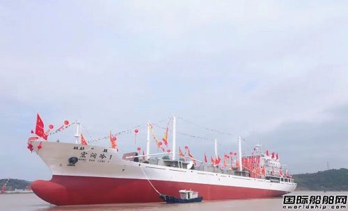 东红船业建造10500DWT冷藏运输船顺利下水