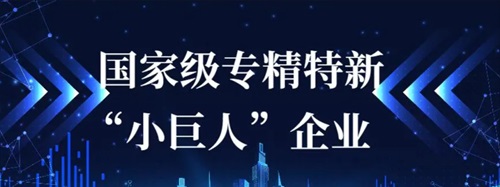 南通远洋配套、威海重工科技双双通过国家级专精特新“小巨人”企业认定
