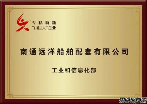 南通远洋配套、威海重工科技双双通过国家级专精特新“小巨人”企业认定,