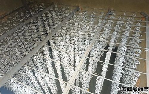 威海重工科技污水站项目改造顺利交付