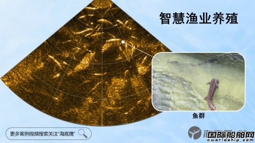  海底鹰国产第三代前视声纳焕新发布,